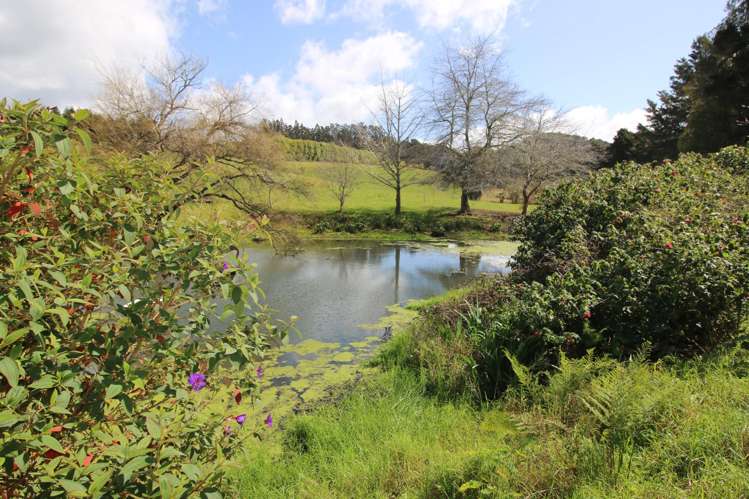 5631 State Highway 12 Kaikohe_18