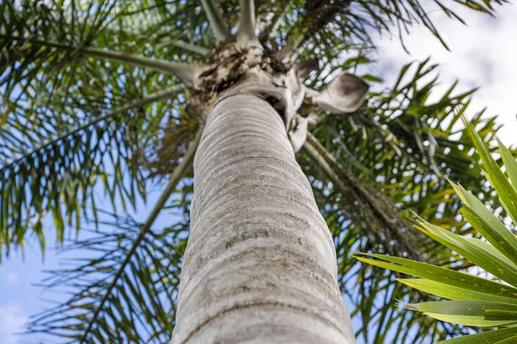 282D Coatesville-Riverhead Highway Coatesville_13