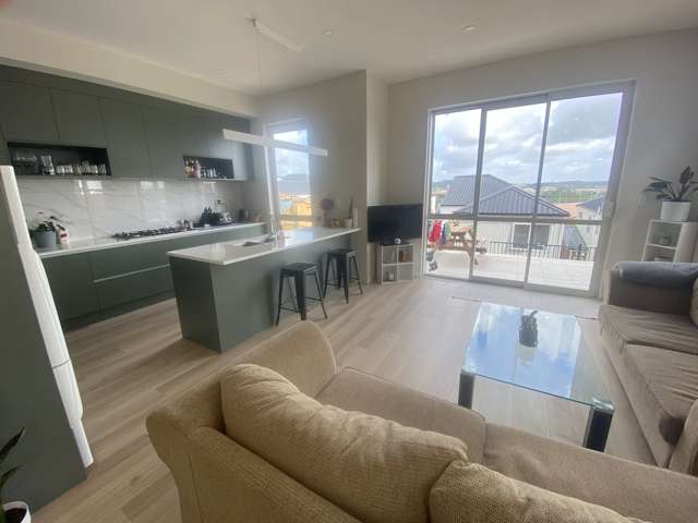 48 Mita Road Silverdale_3