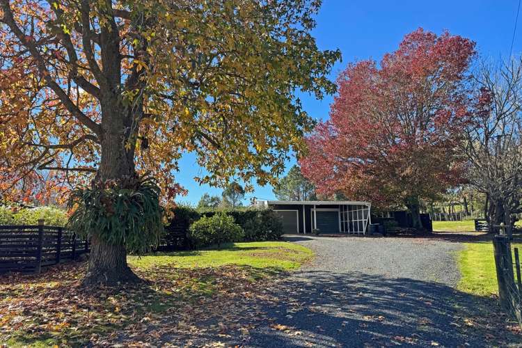 828 Ridge Road_5