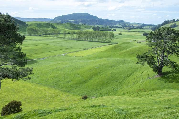 62 Rehi Road Ngakuru_16