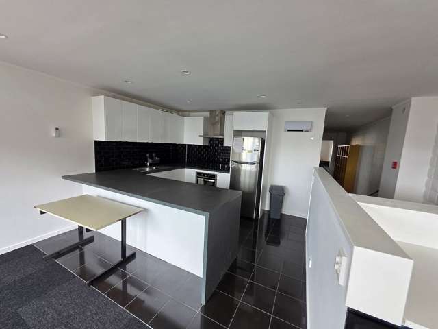 21A Webb Street Te Aro_1