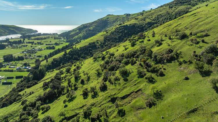 1234 Okains Bay Road Okains Bay_16