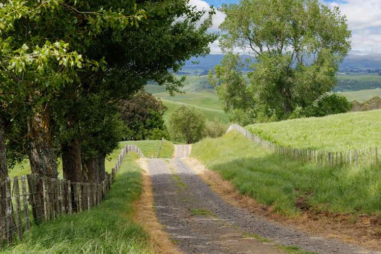 196 Waimanu Road Pukeatua_19