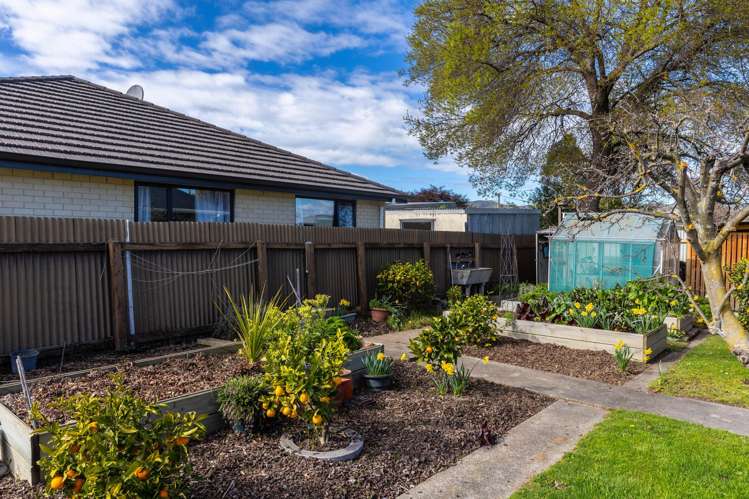 9 Leefield Street Blenheim_25