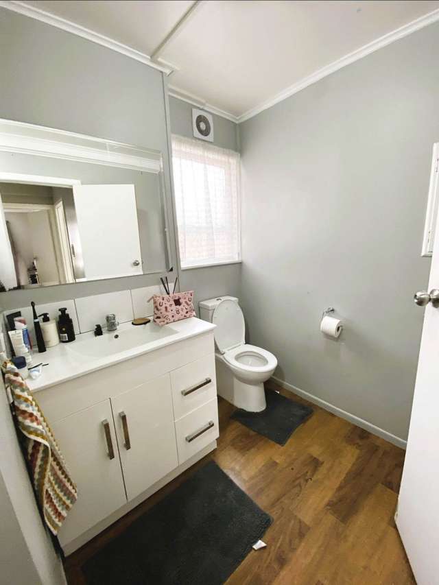 19A Favona Road Favona_2