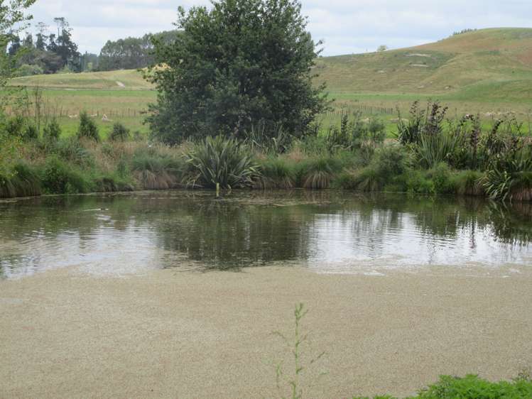 359 Mangatarata Road Hawkes Bay_16