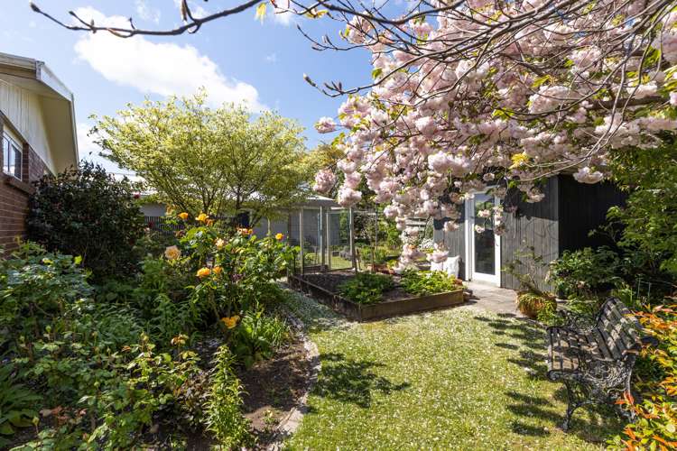 14 Rousehill Street Renwick_24