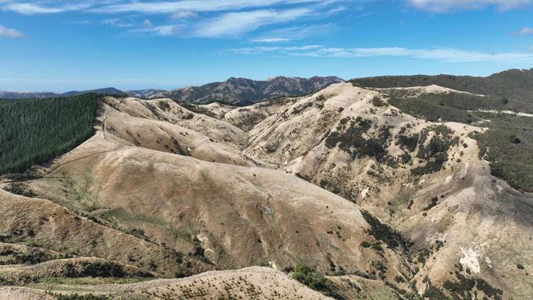 Waihoki Valley Road_5