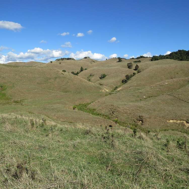 1494 State Highway 4 Aria_17