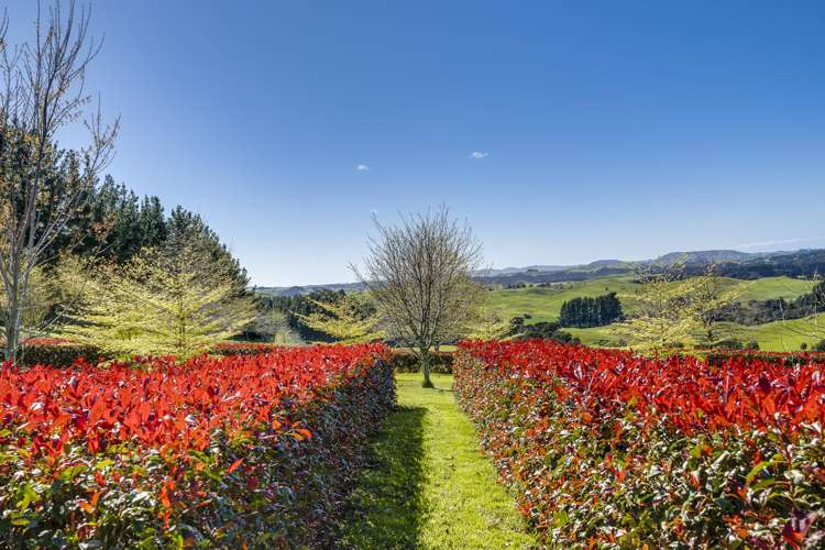 135 Willowford Road Waiwhare_21