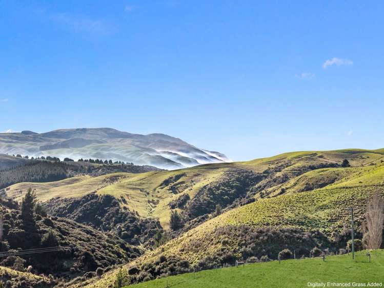 660 Cathedral Road Domett_30