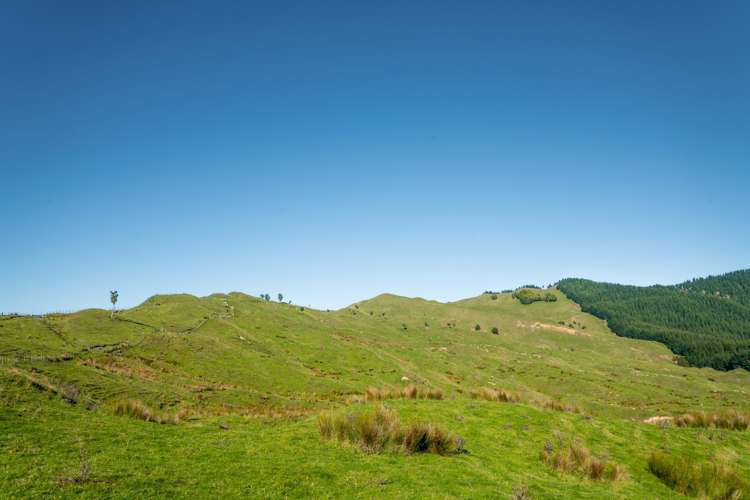 229 Rangikohua Road Tolaga Bay_16