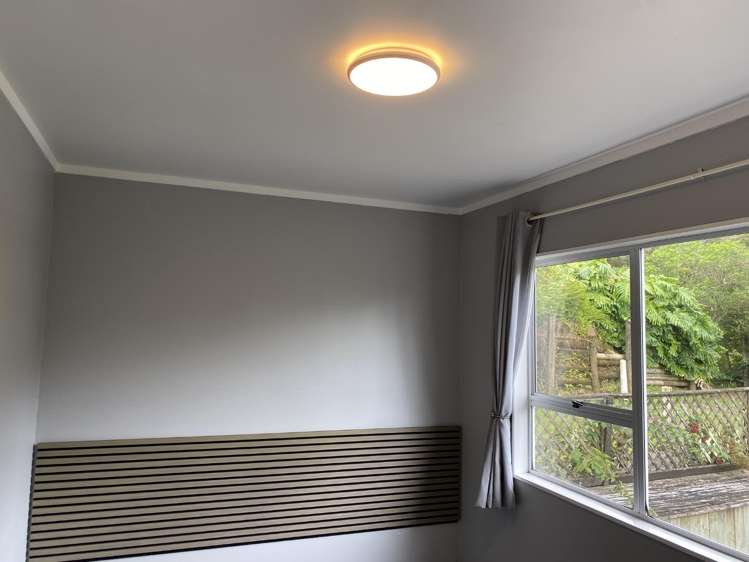 24 Punga Grove Avenue 11626_8