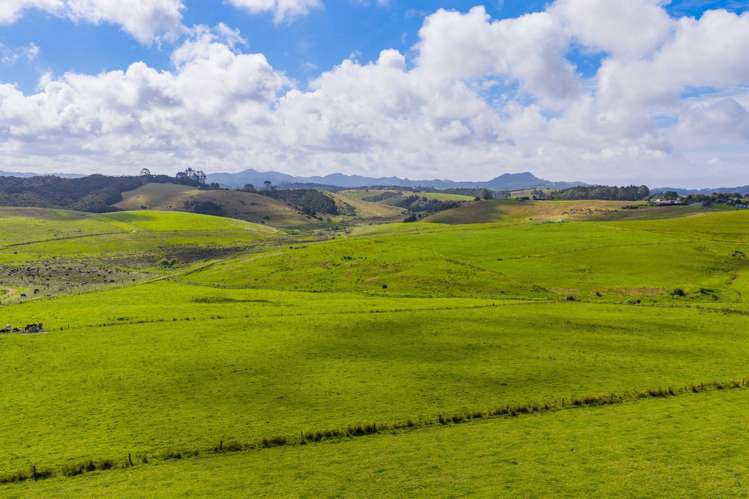 271 Pataua South Road Pataua South_23