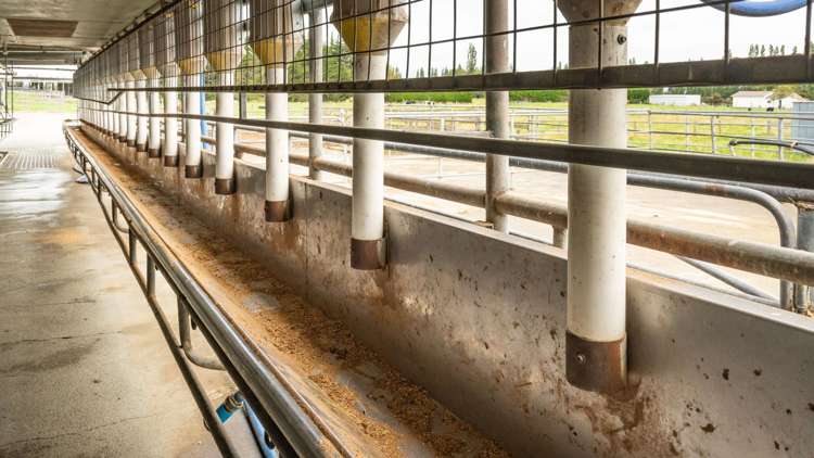 249 Plaskett Road Fernside_9