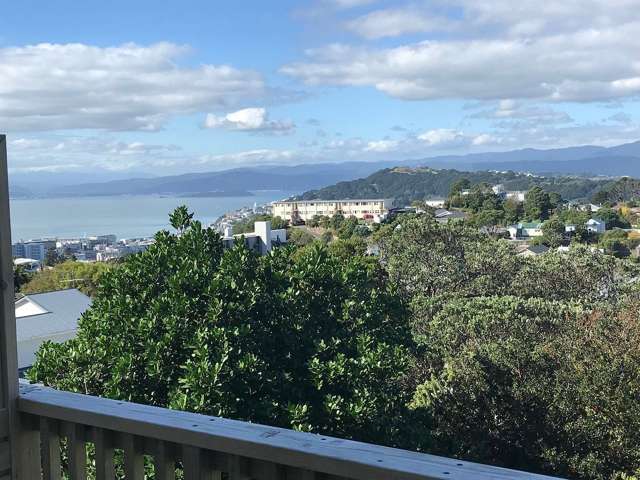 29 Sugarloaf Road Brooklyn_2