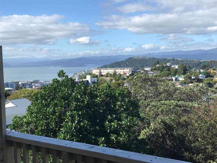 29 Sugarloaf Road Brooklyn_2