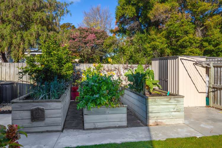 3 Roussel Place Springlands_13