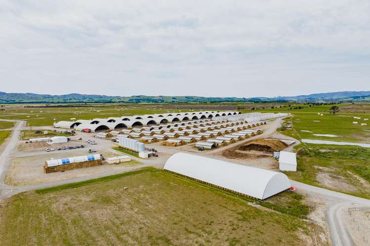 724 Medbury Road Hawarden_1