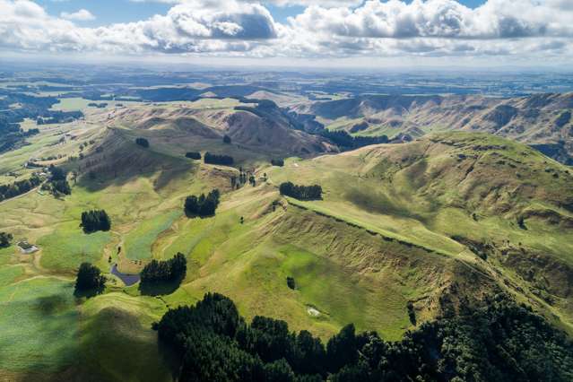 Mangleton Road Central Hawkes Bay Country_1