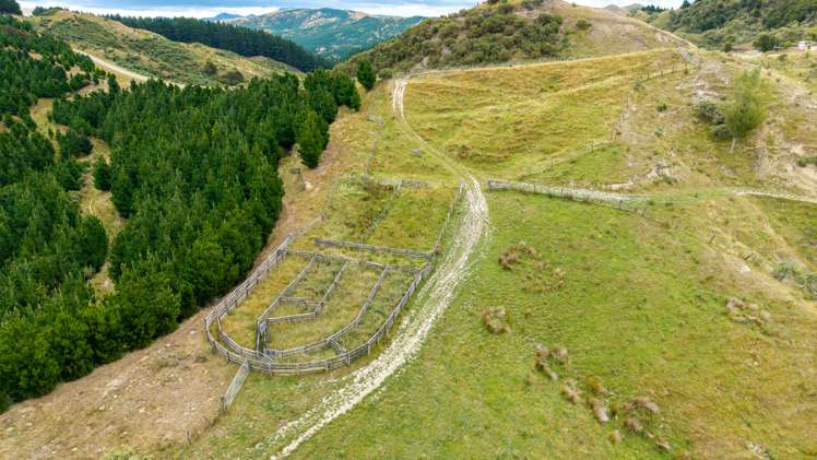 310 Branscombe Road Akitio_19