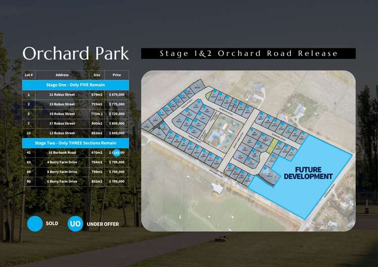 2025 Orchard Park_2