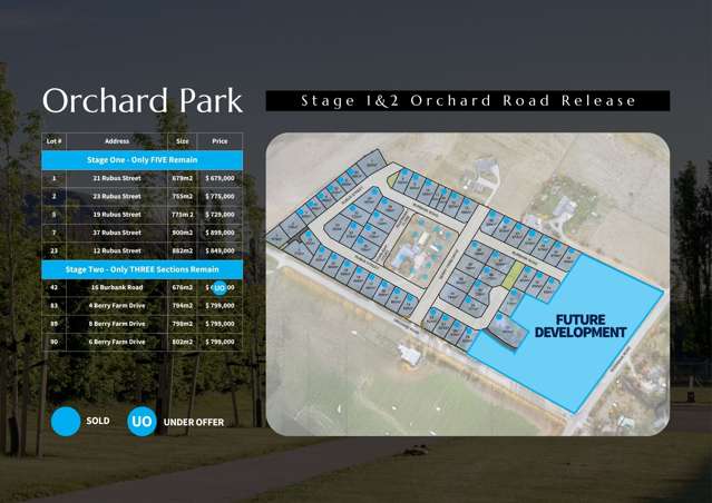 2025 Orchard Park Wanaka_2