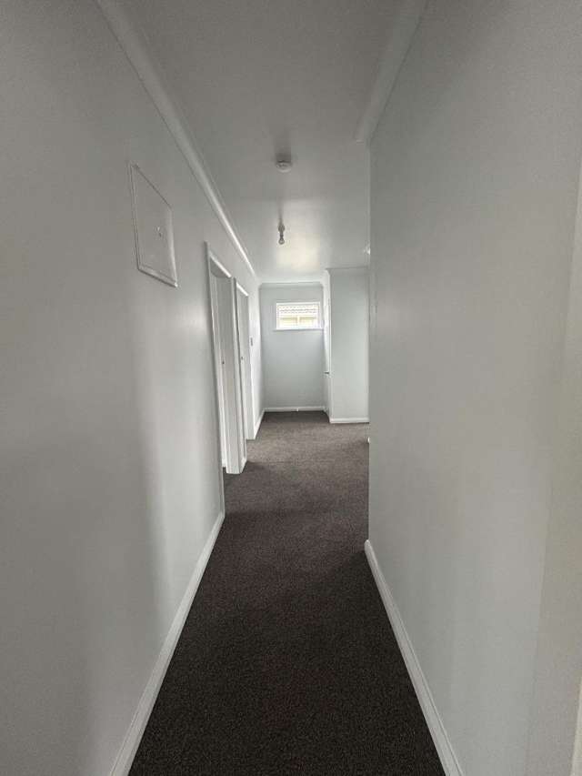 14 Takahe Street 10993_3