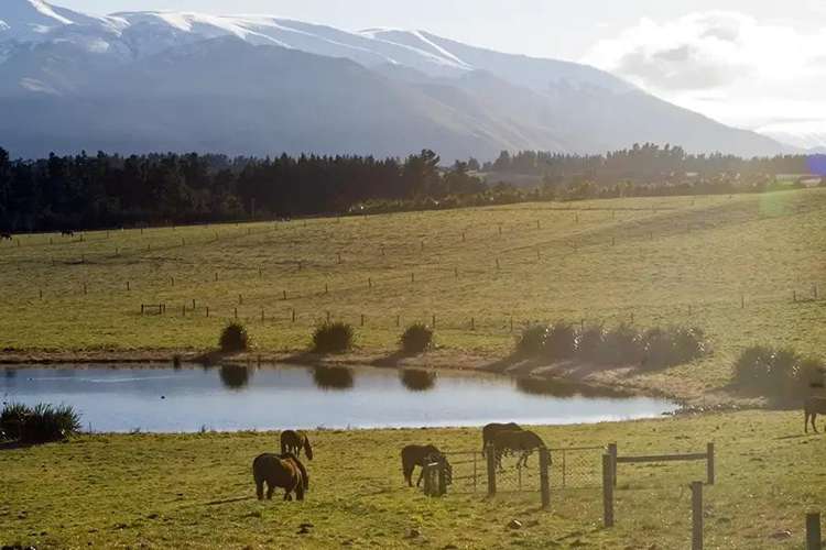 620 Coleridge Road Windwhistle_6