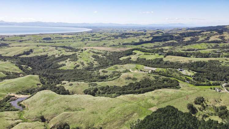 240b Esk Road Miranda_9