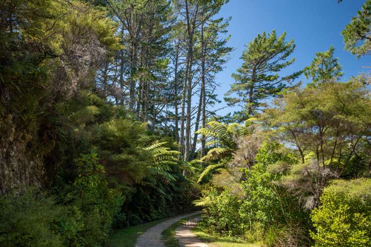 51 Wharariki Road Kahurangi National Park_17