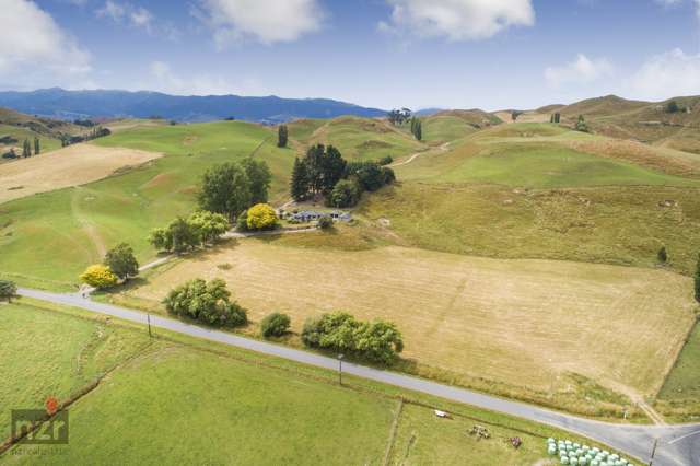 114 Makoura Road Apiti_1