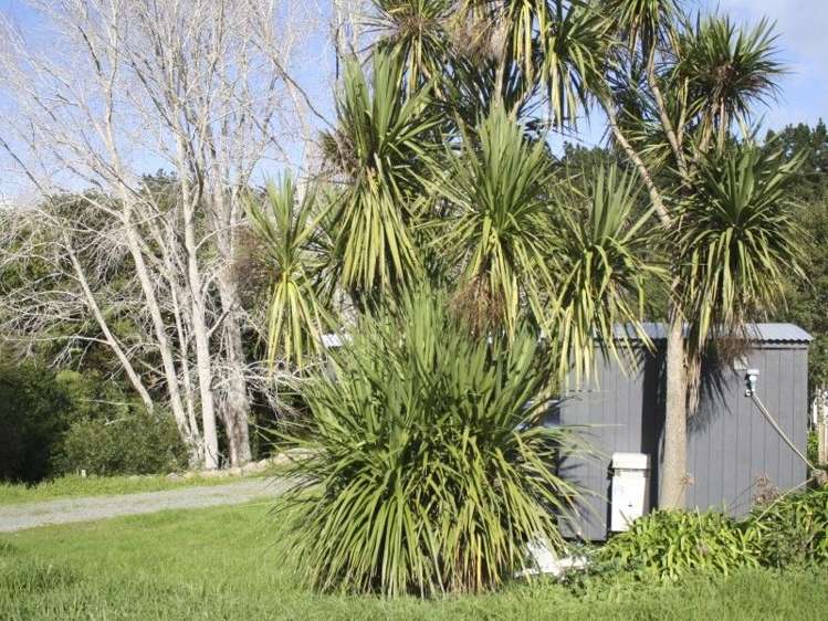 19 Darmah Lane Mangawhai_12