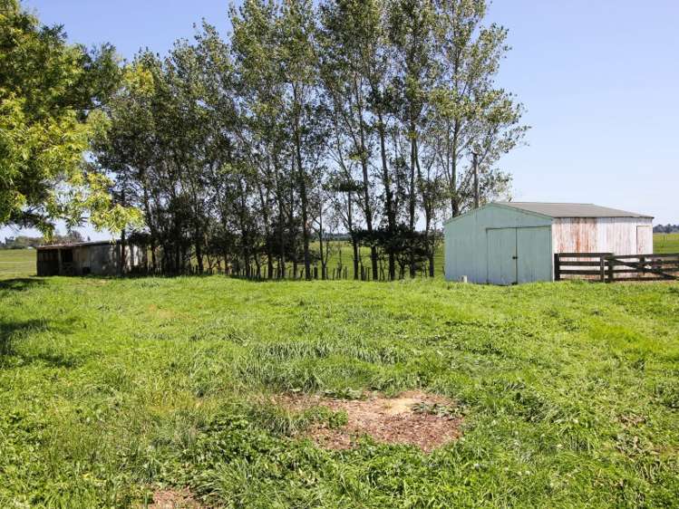 449 Blueskin Road Brunswick_12