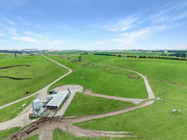 Dairy Opportunity South of Oamaru