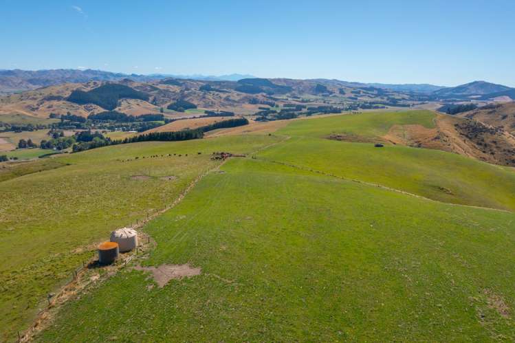 2118 Omihi Road Greta Valley_6