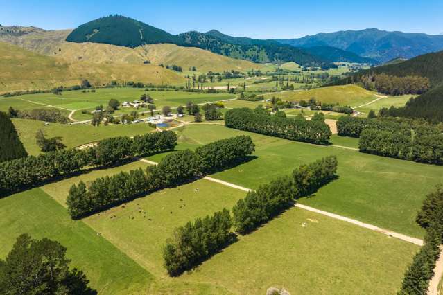 6679 State Highway 6 Rai Valley_2