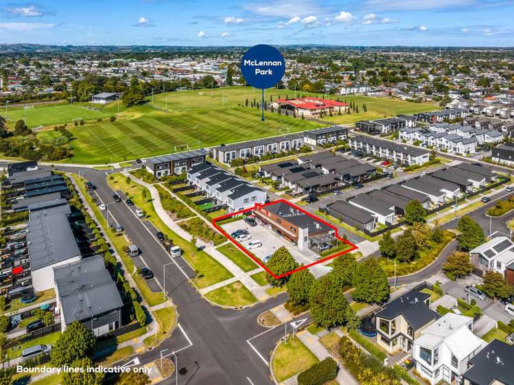 2A Swamp Kauri Grove Papakura_12