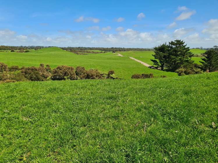 3009 Carrington Road Okato_14