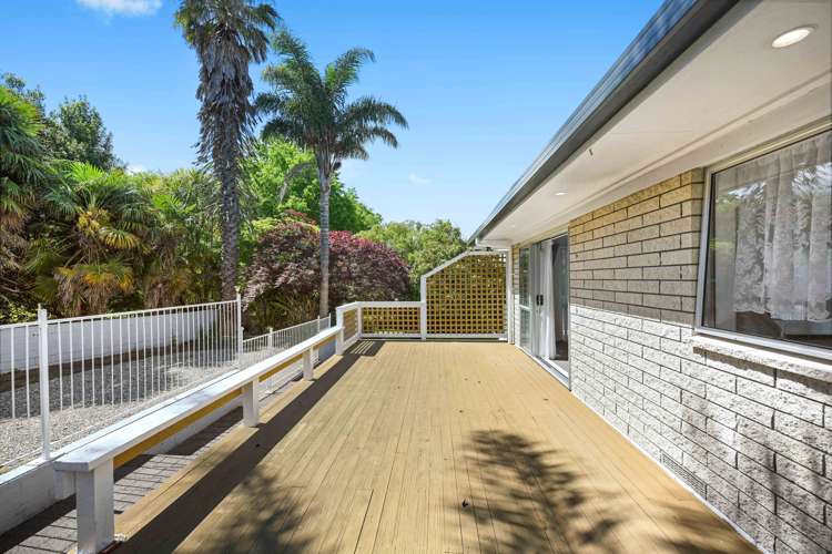 407 Koromatua Road Temple View_17