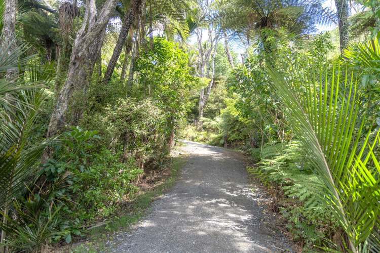 47 Tarapatiki Drive Whitianga_8