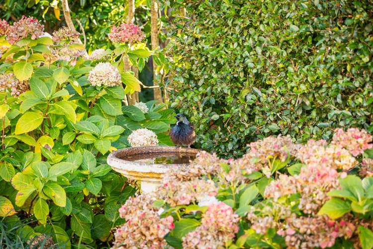 3/259 Victoria Avenue Remuera_11