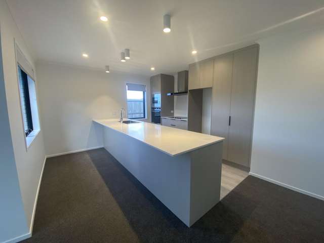 7 Crawford Lane Morrinsville_1