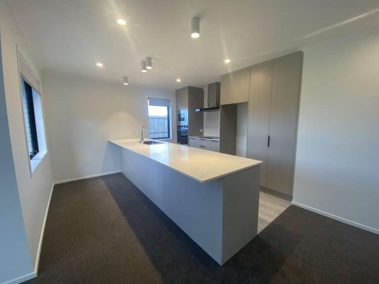 7 Crawford Lane Morrinsville_1