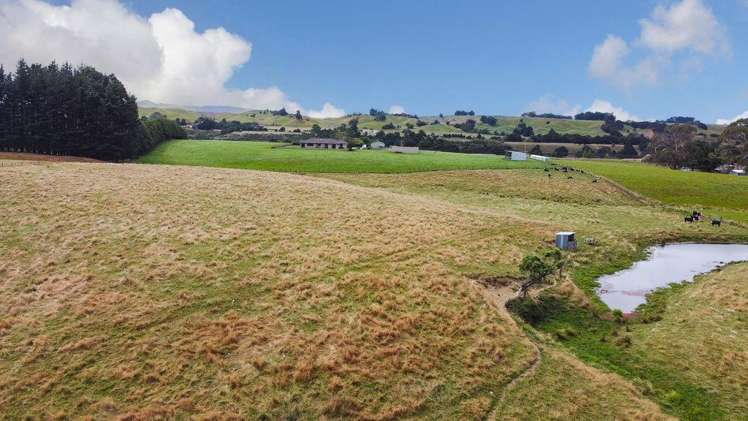 76934 State Highway 2 Dannevirke_17