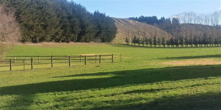 17 Esk Bank Road Otaio_5