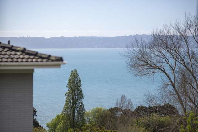 Vendor retired, Must sell!