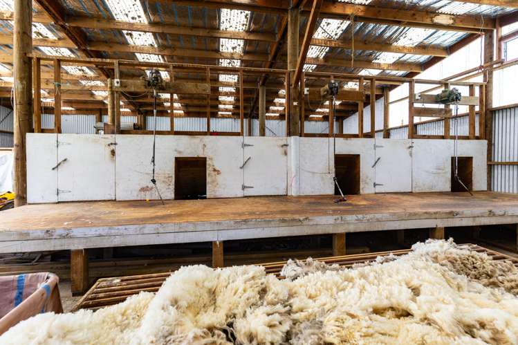 7611 State Highway 1 Ward_22