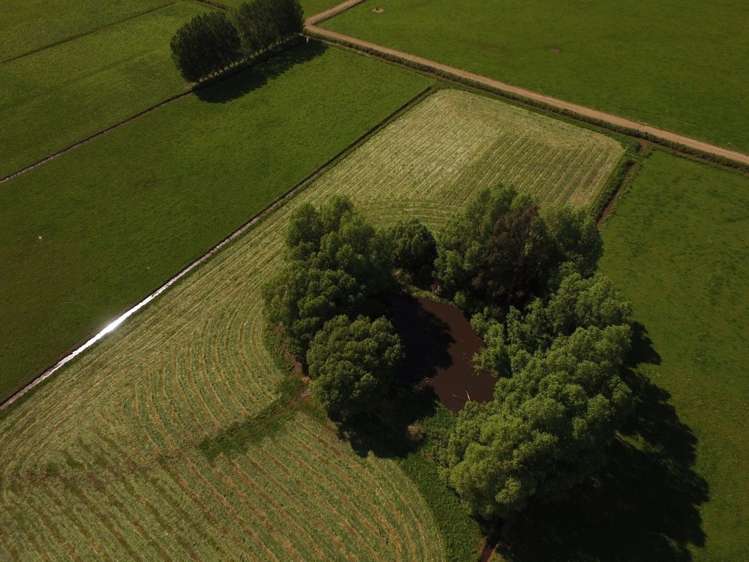 510 Gladstone Road South Allanton_10